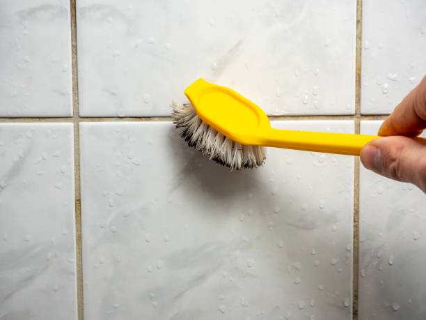 Best Water Damage Restoration  in Lordstown, OH