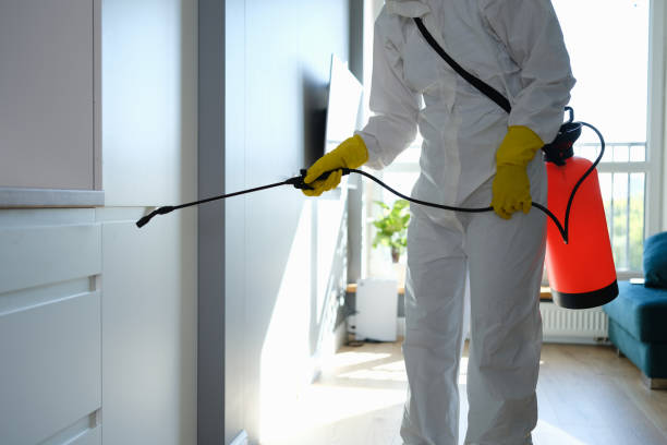 Best Crawl Space Mold Removal  in Lordstown, OH